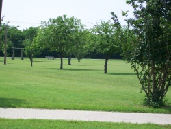 Park